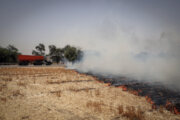  غرامت ناشی از آتش سوزی در مزارع برداشت نشده پرداخت می شود