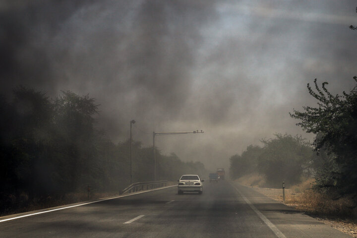 آتشسوزی مزارع در خوزستان علاوه بر ایجاد آلودگی، تنوع زیستی را نیز نابود میکند
