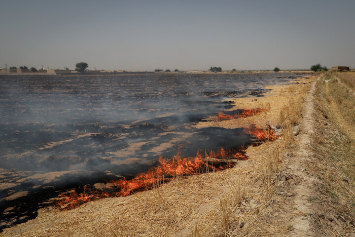 ۳۰ هکتار از عرصههای طبیعی پارک ملی کرخه دچار آتشسوزی شد