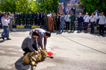 بدرقه کاروان زیارتی مرقد مطهر امام(ره) در کرمانشاه