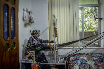 نوغان داری در مینودشت