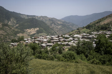 نوغان داری در مینودشت