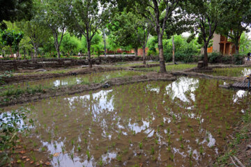 پارک ملی ایران کوچک