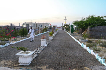 Granja de cocodrilos en Chabahar
