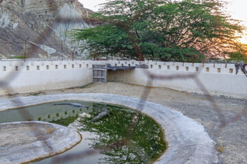 Granja de cocodrilos en Chabahar
