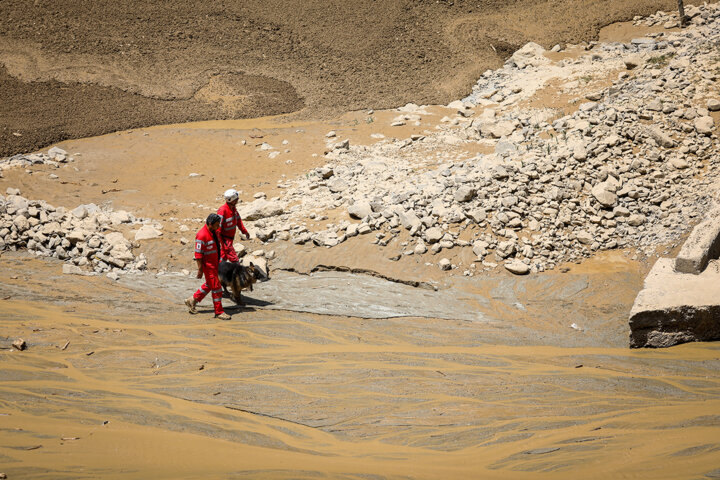 عملیات جستجو برای مفقودین سیلاب جاده کرج -چالوس ادامه دارد