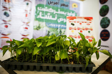 نمایشگاه صنعت نساجی و محصولات ارگانیک در مشهد برپا شد