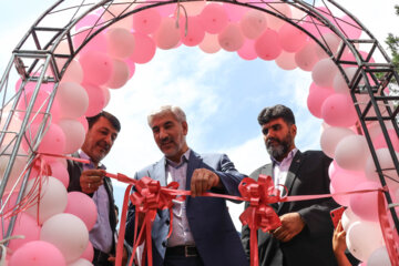 El 5º festival de extracción de agua de rosas en el noroeste de Irán
