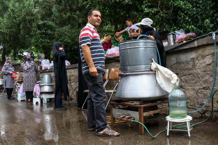 عطر گل محمدی در قلب تهران