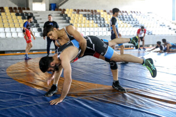 Concentración preparatoria de luchadores grecorromanos iraníes