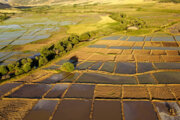 اسناد مالکیت ۵۰ درصد اراضی کشاورزی آذربایجان غربی صادر شد