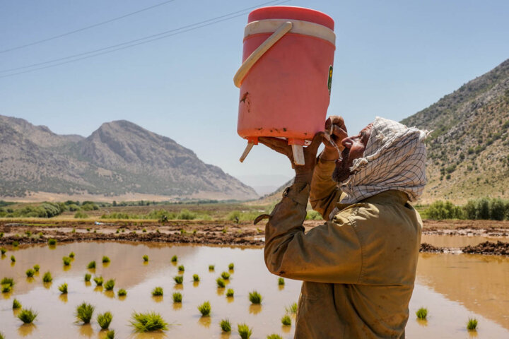 آب، نبض تولید از گذر مشارکت مردمی