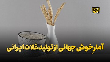 آمار خوش جهانی از تولید غلات ایرانی