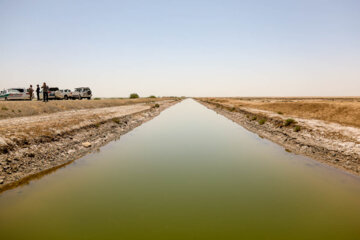 انتقال بخشی از آب رودخانه کردان به تالاب صالحیه البرز