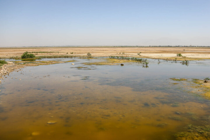 کم بارشی پاییز به حال ناخوش تالابها دامن میزند