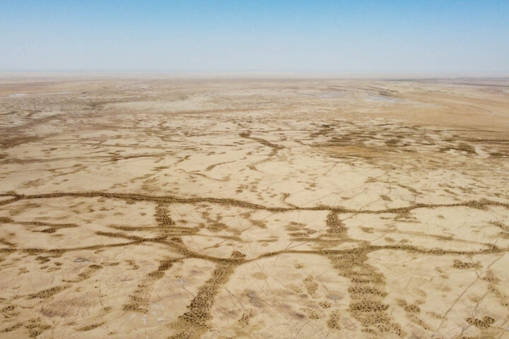 کم بارشی پاییز به حال ناخوش تالابها دامن میزند