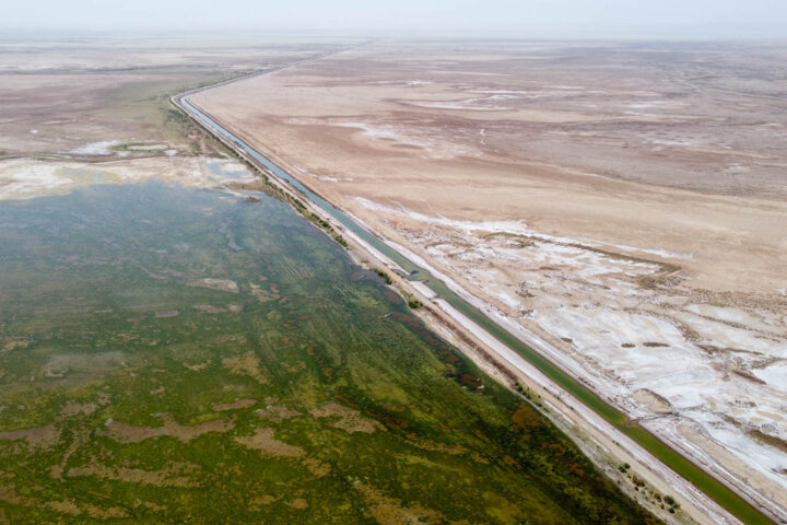 مدیرکل حفاظت محیط زیست البرز:  پوشش گیاهی تالاب صالحیه در حال نابودی است