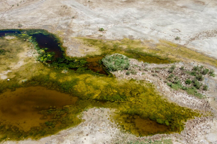 بانگ خشکسالی از حلقوم گرد و خاک/ مردم آب را دربیاید!
