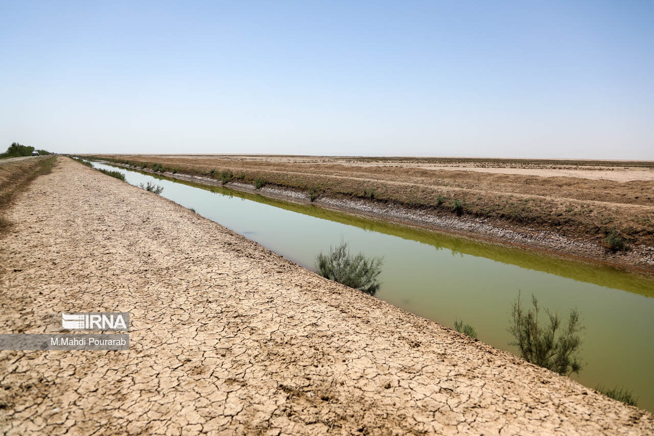 مدیرکل حفاظت محیط زیست : تالاب صالحیه به کانون گرد و غبار در البرز تبدیل شده است