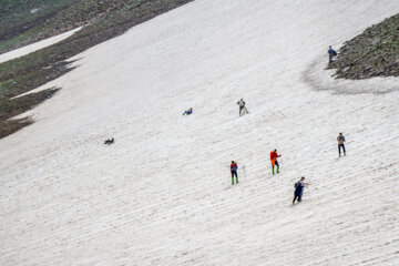 سرمای تابستانی در بوز سینه