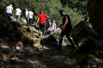 آبشار مارگون