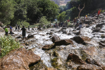 آبشار مارگون