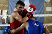 Compétitions de qualification de l'équipe nationale de boxe