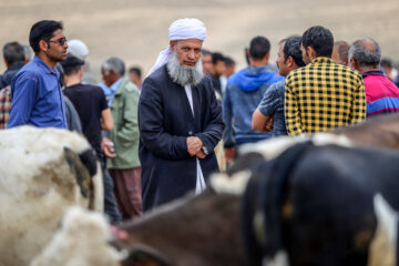 بازار فروش دام بجنورد در آستانه عید قربان‎