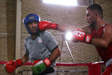 Compétitions de qualification de l'équipe nationale de boxe