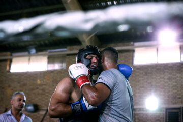 Compétitions de qualification de l'équipe nationale de boxe