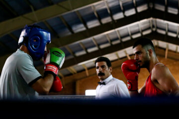 Compétitions de qualification de l'équipe nationale de boxe