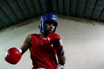 Compétitions de qualification de l'équipe nationale de boxe