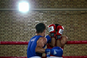 Compétitions de qualification de l'équipe nationale de boxe