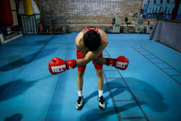 Compétitions de qualification de l'équipe nationale de boxe