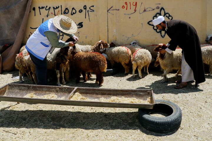 ٧۴درصد شهرکهای صنعتی فاقد تصفیهخانه/اجرای طرح زنان برای زنان