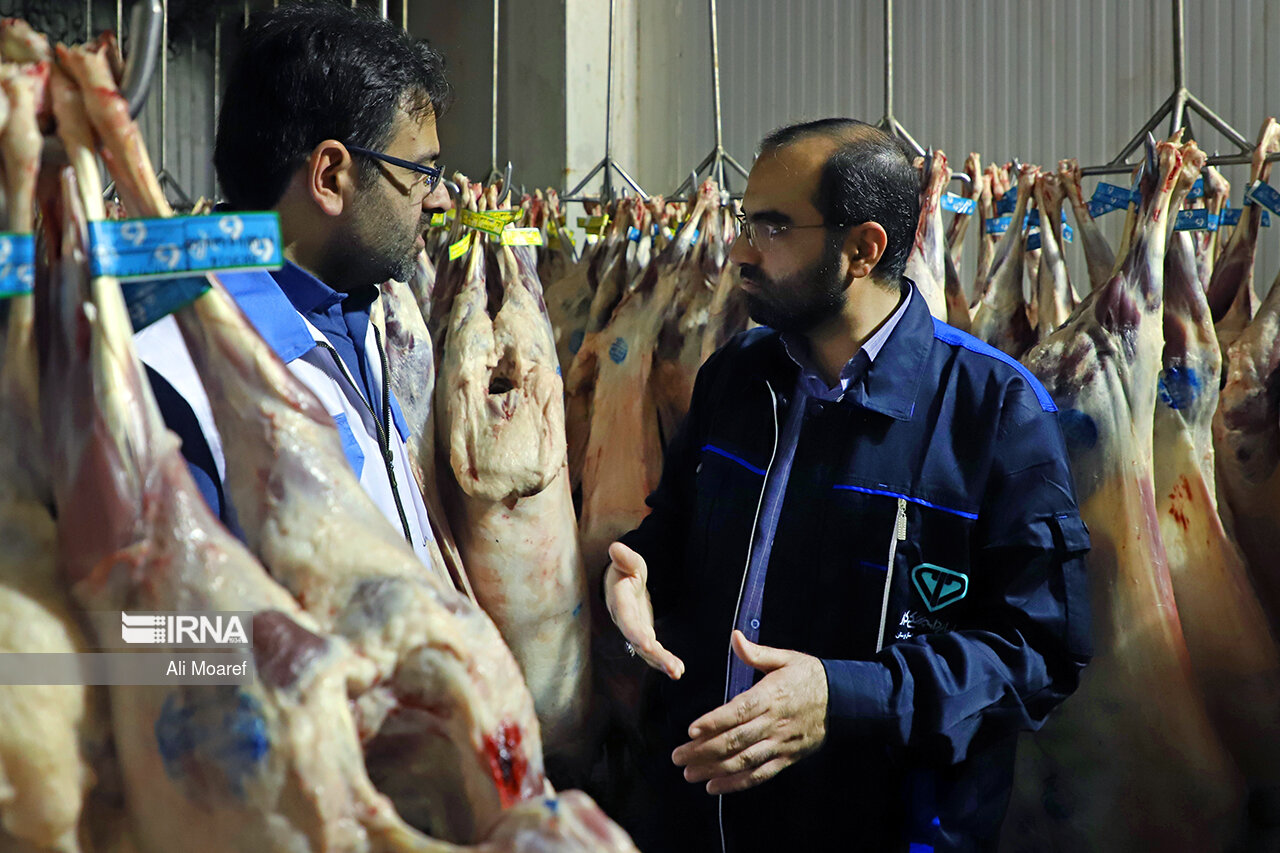 ۹۲ گروه دامپزشکی خوزستان بر ذبح دام در عید قربان نظارت دارند ۹۲ گروه دامپزشکی خوزستان بر ذبح دام در عید قربان نظارت دارند