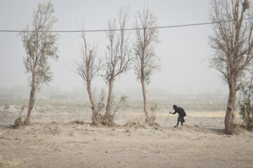 طوفان شن در سیستان