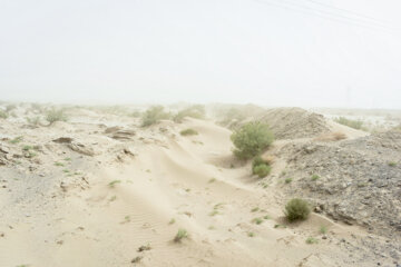 طوفان شن در سیستان