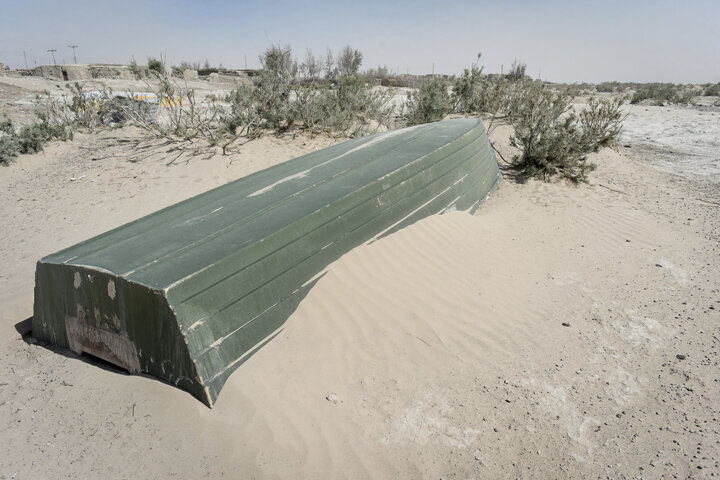 آیا محیطزیست در حفظ تالابها موفق بوده است/نیمهجان به مدد مدیریت طبیعت