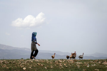 Les nomades de Kormanj dans le nord-est de l’Iran 