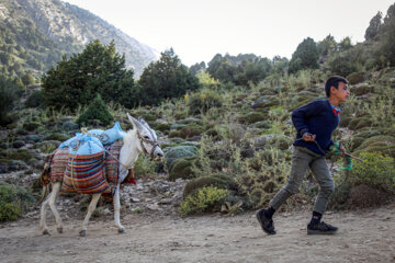 Les nomades de Kormanj dans le nord-est de l’Iran 