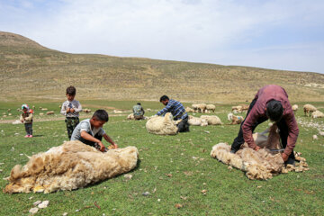 Les nomades de Kormanj dans le nord-est de l’Iran 