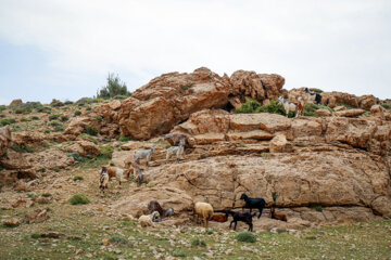 Les nomades de Kormanj dans le nord-est de l’Iran 