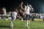 Festival de Caballo Curdo en Kermanshah