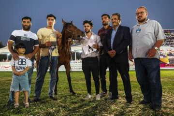 جشنواره بین المللی اسب کرد