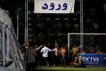 جشنواره بین المللی اسب کرد