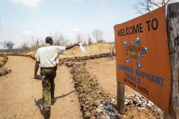 Zimbabwe, le pays des beautés