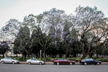 Zimbabwe, le pays des beautés