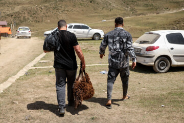 Lutte traditionnelle Locho, un domaine traditionnel des sports Pahlavani pratiqués dans le nord de l’Iran 