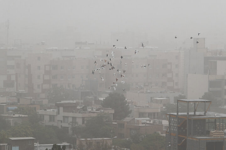 حضور مقامات عالیرتبه ۱۲ کشور درگیر گردوغبار تا تعیین تکلیف ۴۱۱ پروژه بدون مجوز محیطزیست